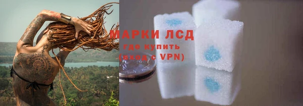мяу мяу мука Абаза