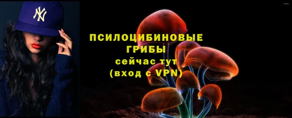 шишки Абинск
