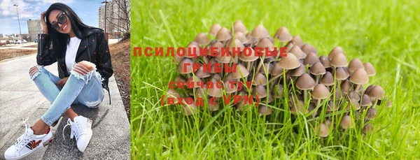 шишки Абинск