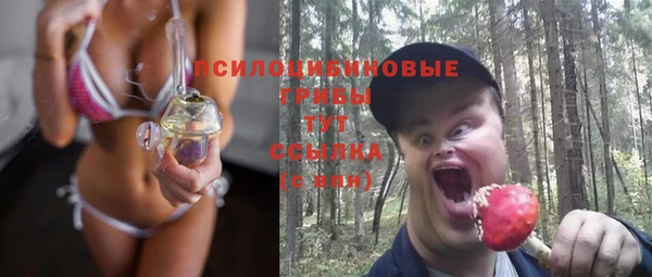 мяу мяу мука Абаза