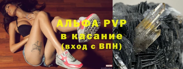 мяу мяу мука Абаза