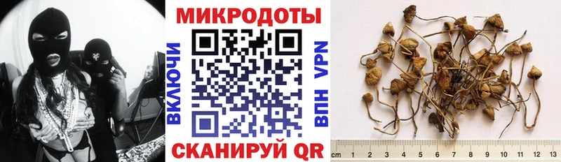 сколько стоит  Старый Крым  блэк спрут ссылки  Псилоцибиновые грибы MAGIC MUSHROOMS 
